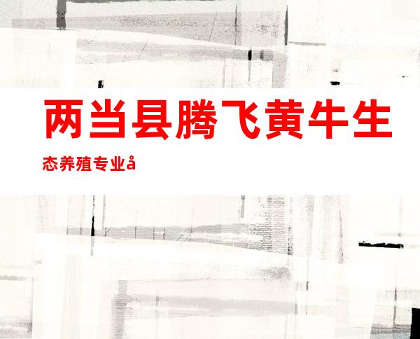 两当县腾飞黄牛生态养殖专业合作社